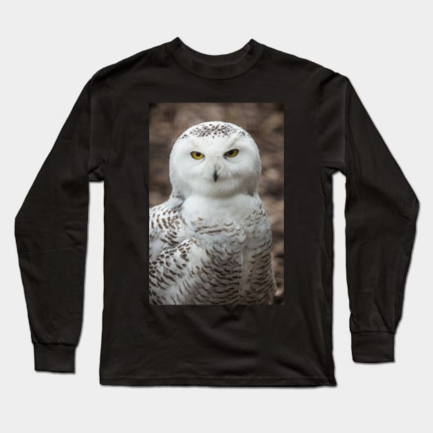 Golden Eye Snowy Owl Long Sleeve T-Shirt by dalekincaid